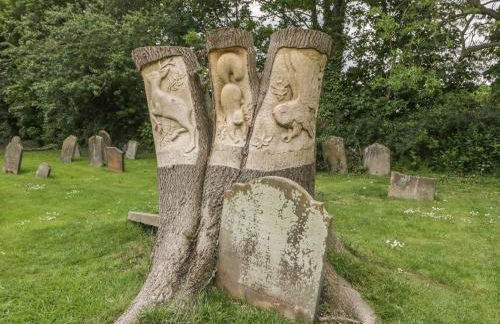 Ashtree Cottage - Foto 21