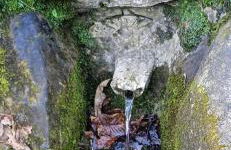 Apartamentos Rurales Sariar - Photo 47