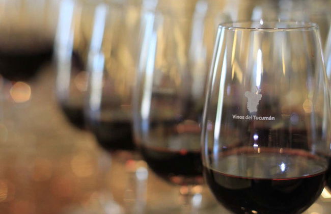 Excursión a Tafí del Valle y ruinas de Quilmes + Visita a una bodega - Foto 5