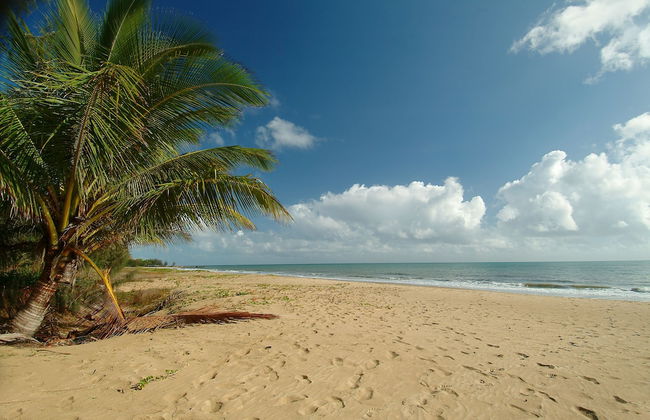 The Mediterranean Beachfront Apartments - Foto 59