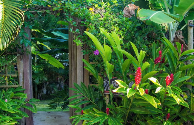 Quinta do Brasil Trancoso - Foto 78