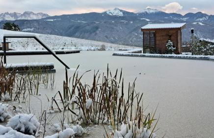 Nikolausberg - Hof im Garten - Foto 27