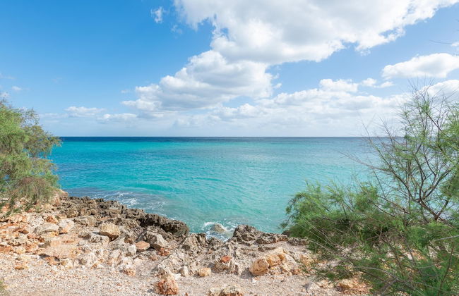 Antic 302 in Mallorca - Foto 19