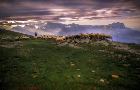 Apartamento Ainsa - Foto 30