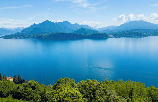 The Golden View - Foto 21