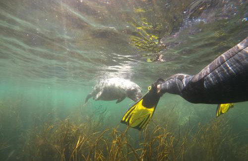 Marigold Cottage - Foto 27