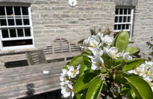 Grade II Listed House Tranquil Garden & Parking - Foto 33