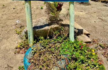 Chalé Sun Happy - Foto 36