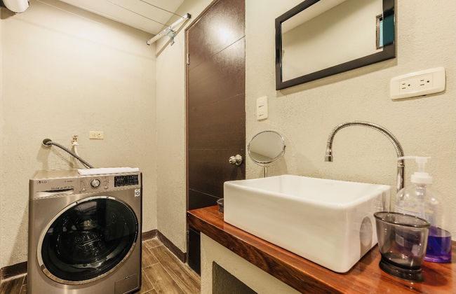 Relaxing Sound of River Birds Squirrels - Foto 28