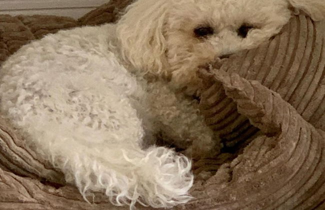 Sleeps 4/6 pet Friendly Parking nr Nec/warwick uni - Photo 22