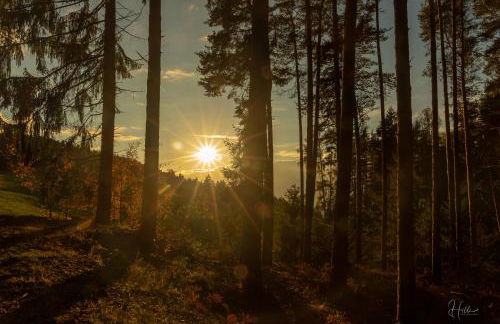 Residence Alpenrose - Foto 75