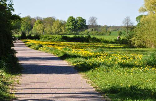 Ferienhaus Müritzzauber / EG-Appartement - Foto 16