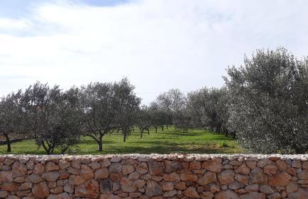 Happy garden house - Photo 29