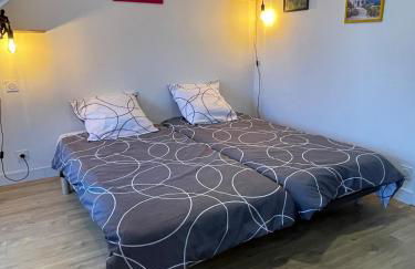 Plein centre Auray - Grand duplex 2 suites avec terrasse ensoleillée - Foto 24