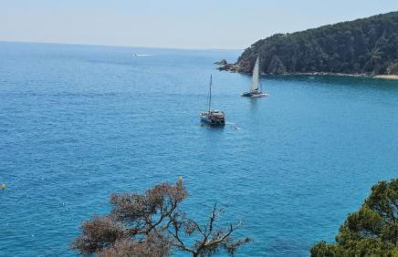 Unparalleled sea view - Foto 43