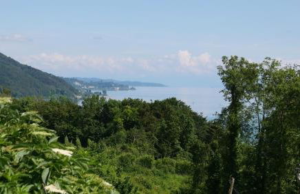 Hof Spittelsberg - Photo 15