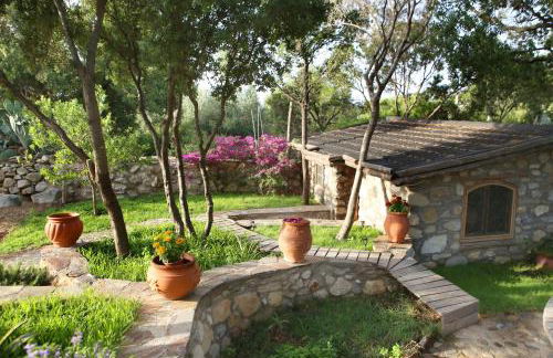 Captain Ikaros - Foto 70