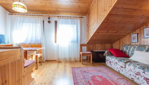 Petit Arnica - Foto 3