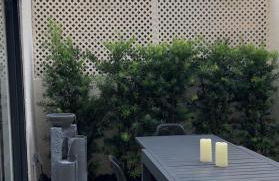 Beachside Modern Wellness Villa with Spacious Patio - Photo 12