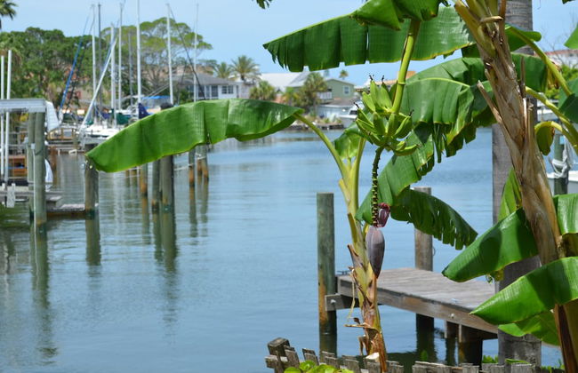 Oasis at John's Pass Madeira Beach - Foto 47