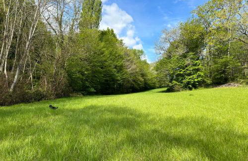 Gite de La Rastelle au coeur de la nature - Foto 29