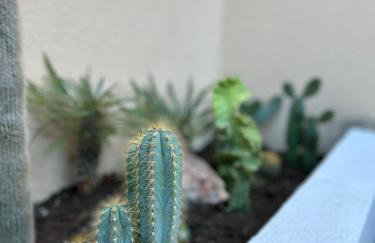 Ático De Diseño en Aguilas - Foto 12