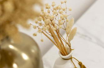 Apartamento Goa - Foto 48