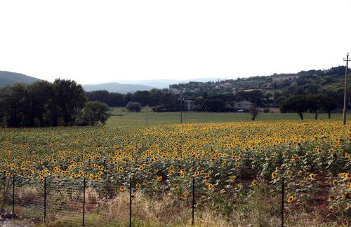 Il Casolare Green House - Foto 6