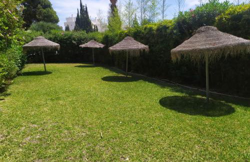 Acuario Benalmádena - Foto 29