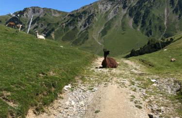 Appartement 3è étage à St-Marie-de-Campan - Foto 18