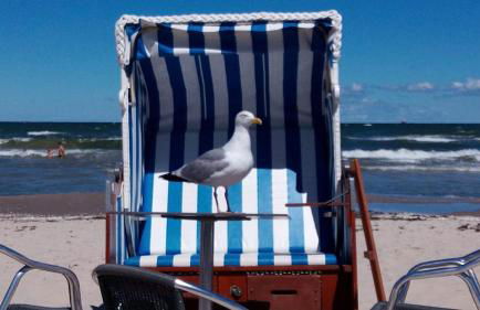Ferienwohnung "Möwe" im Ferien-Resort Rügen - Foto 53