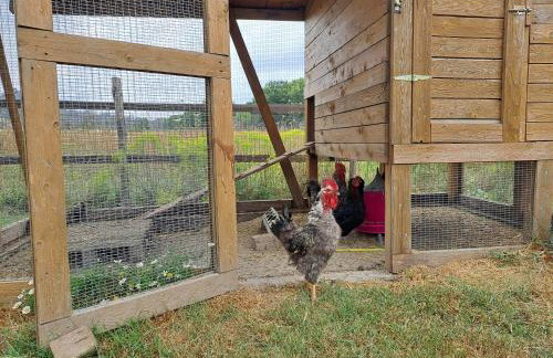 Timber Dream - Photo 38