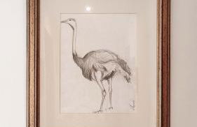 Casa de la Portuguesa, bonita terraza con barbacoa - Foto 53