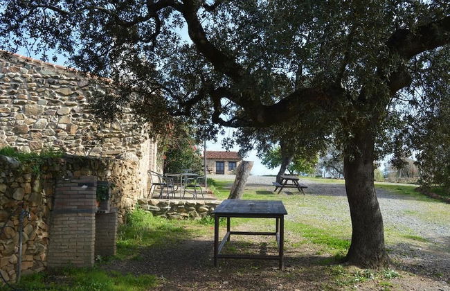 Finca Los Caleros - Photo 30