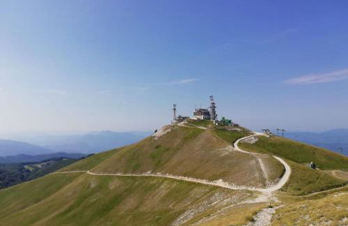 Sguardo nel bosco - Appartamento - Terminillo - Foto 11