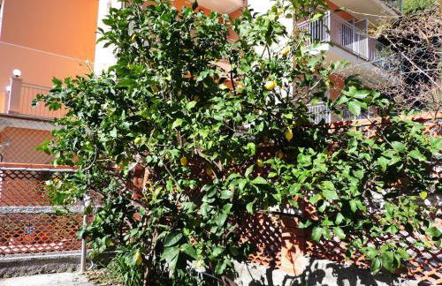 Villa Delle Ciliegie - Foto 55