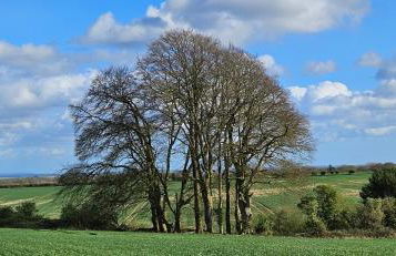 The Hideaway - Foto 14