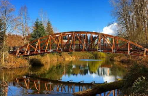 Bothell Family Friendly Modern Home 2 AC I405 - Foto 34