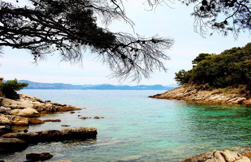 Apartmani Marija Mljet - Foto 24