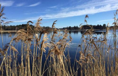 Appealing apartment in Bad Bayersoien with balcony - Foto 51