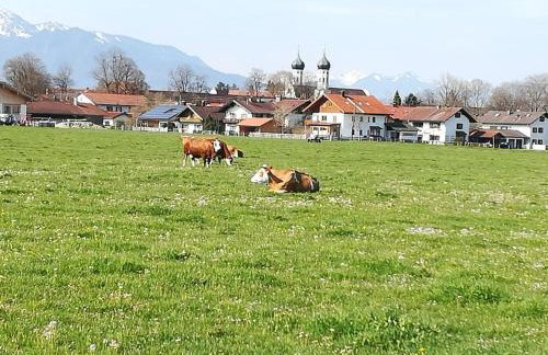 Apartment Moosblick zwischen Bergen und See - Foto 14