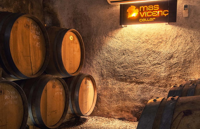 Visita a la bodega Mas Vicenç - Foto 1