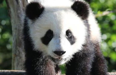 La maison de Joëlle - Foto 16