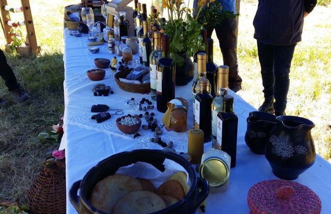 Tour de vinhedos e adegas pelo vale de Itata - Foto 2