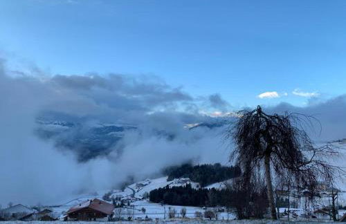 Pitznerhof - Foto 21