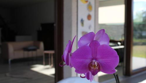 Villa Manuela-Lake View - Foto 3