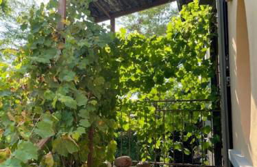 La Grande Quercia - Foto 7