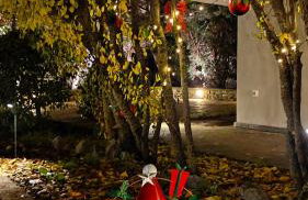 Αλώνι - Photo 22