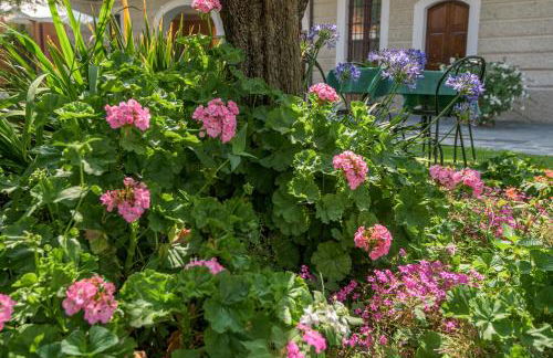 In Riva al Lago di Iseo Residenza Primo Piano - Foto 42