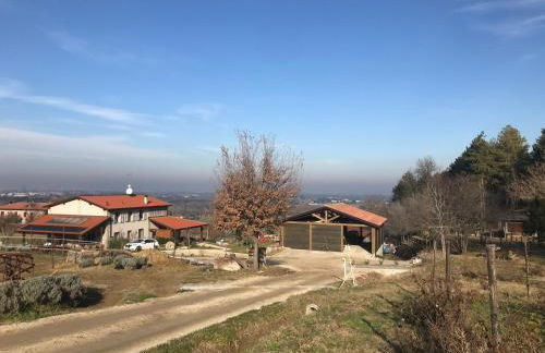 Fattoria Belvedere - Foto 14